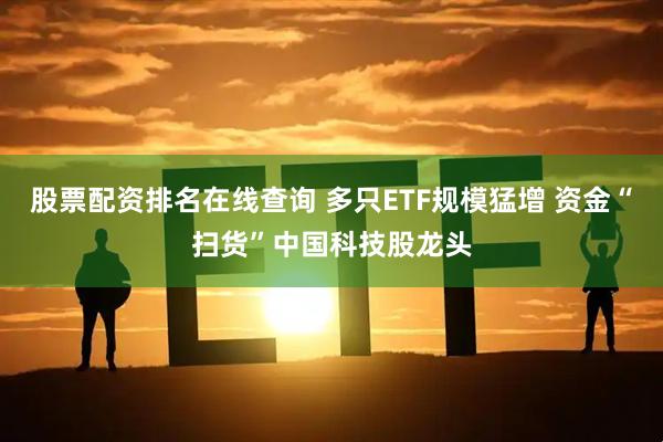 股票配资排名在线查询 多只ETF规模猛增 资金“扫货”中国科技股龙头
